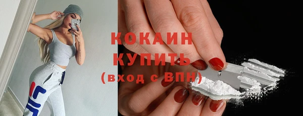 соль ск Абаза