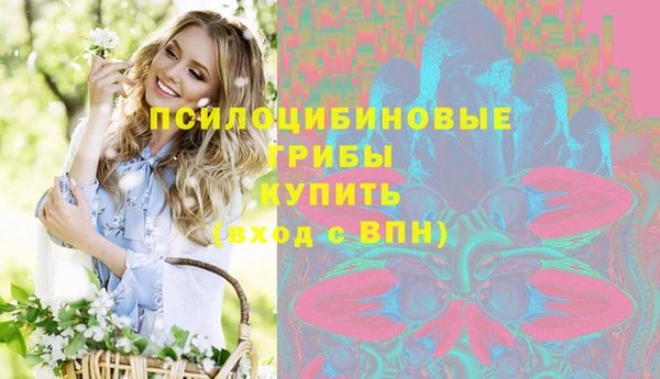 соль ск Алзамай