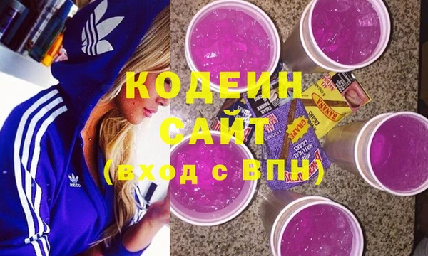 соль ск Алзамай